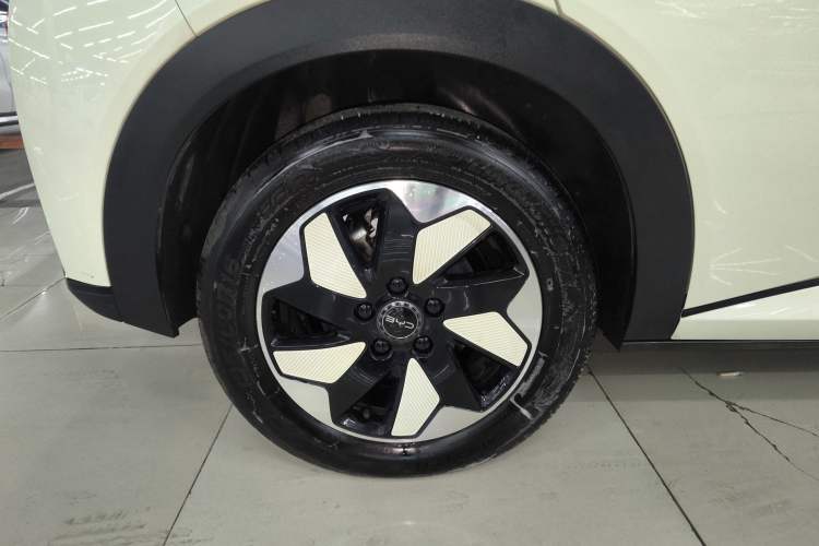 Used BYD Dolphin 2025 420km Free Edition