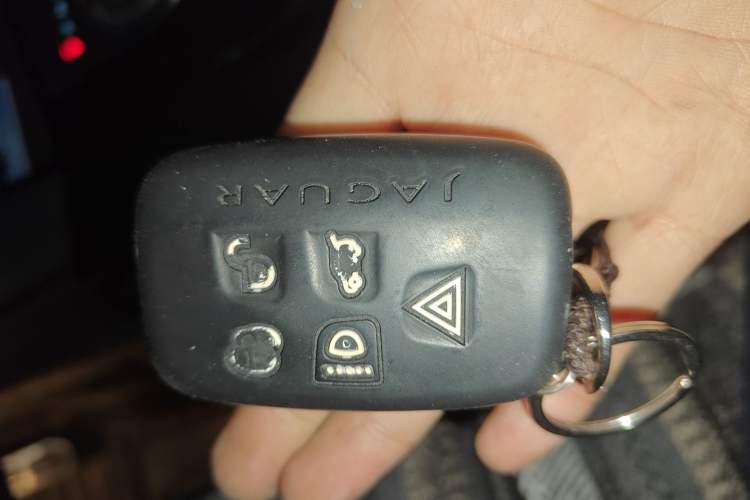 Used Jaguar F-PACE 2019 2.0T Four-Wheel Drive Urban Luxury Edition