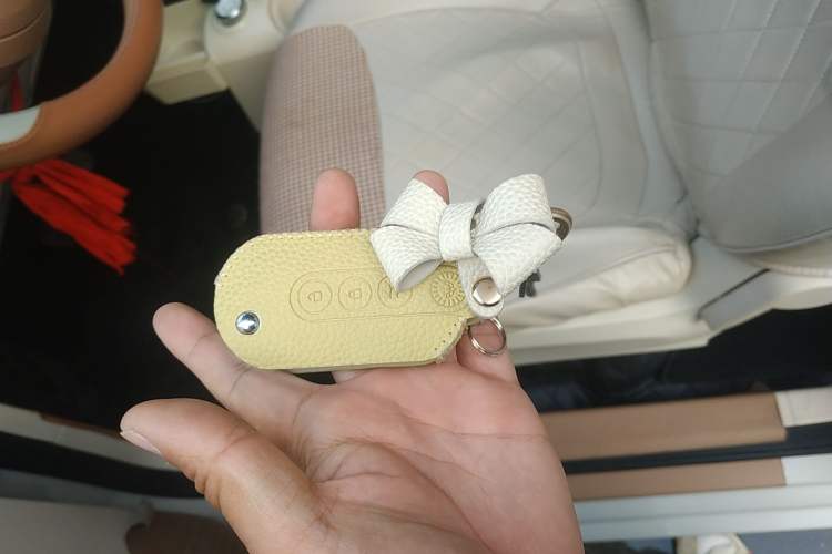 Used Wuling Hongguang MINIEV 2024 3rd Generation 215km Advanced Version
