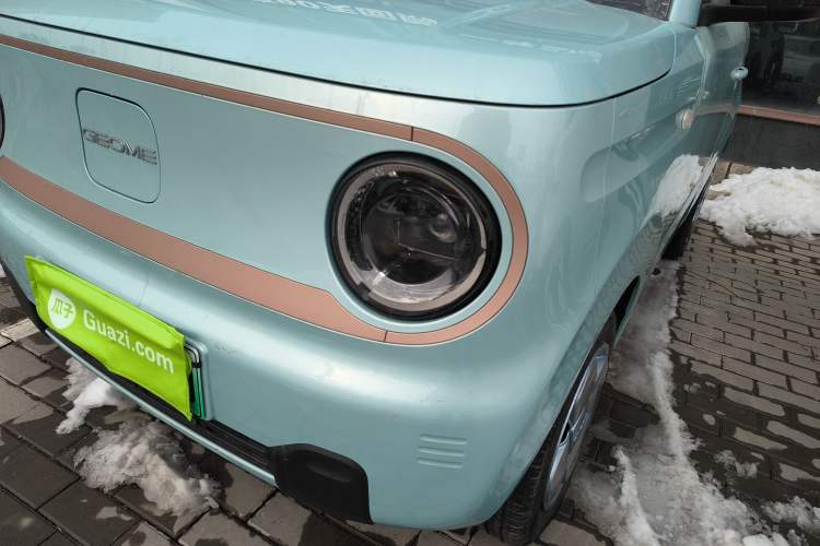 Used  Panda 2024 Panda Mini 200km Endurance Bear