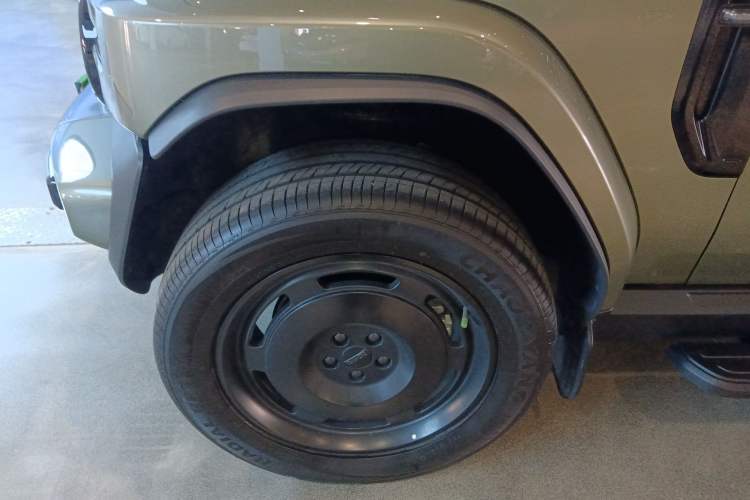 Used  V23 2025 401 Two-Wheel Drive Advanced Edition
