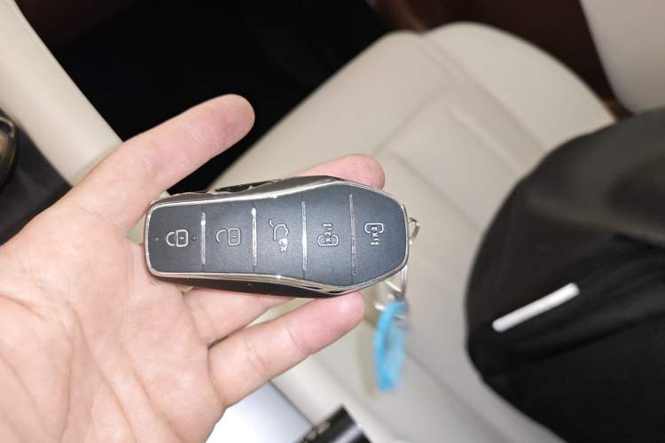 Used BYD Xia 2025 DM-i 1.5T 180km Excellence Model