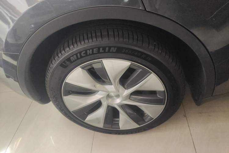 Used Tesla Model Y 2021 Standard Range Rear-Wheel Drive Version
