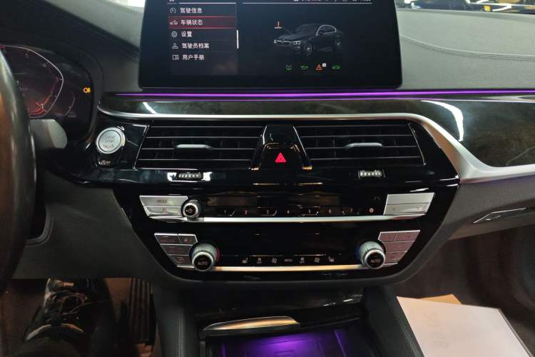 Used BMW 5 Series 2020 530Li Leading Model M Sport Package
