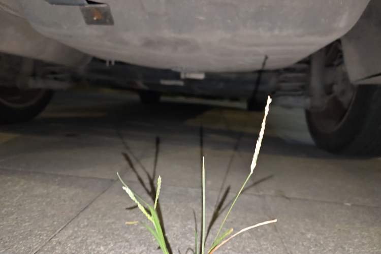 Used Peugeot 408 2013 2.0L Automatic Comfort Edition
