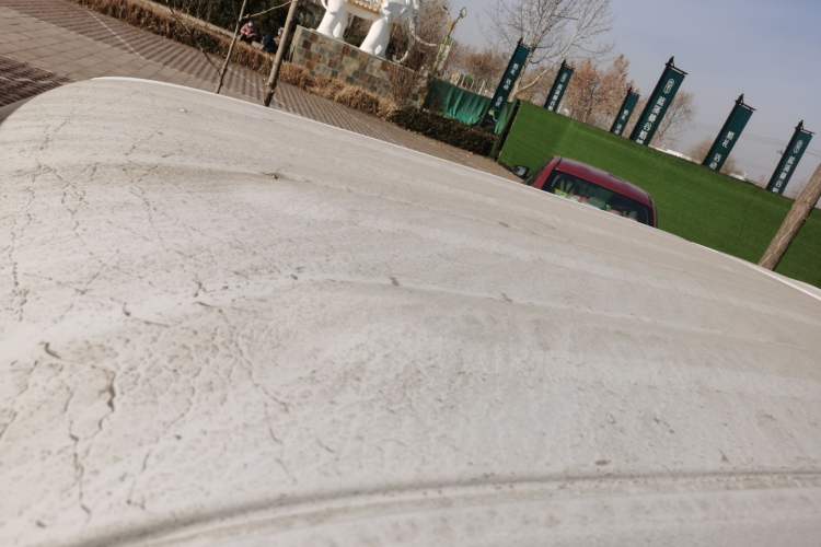 Used  Panda 2025 210 km – Yuanqi Bear
