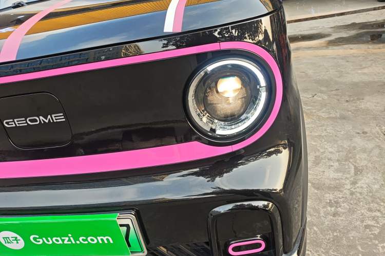 Used  Panda 2024 200km Panda Kart
