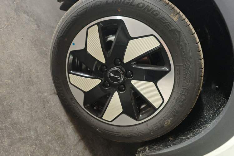 Used BYD Dolphin 2025 420km Free Edition
