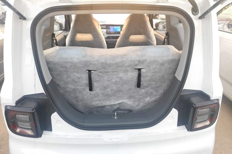 Used  Panda 2024 Panda Mini 200km Endurance Bear
