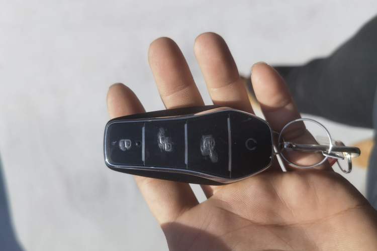 Used BYD Qin L 2025 DM-i Smart Drive 120KM Superior Model
