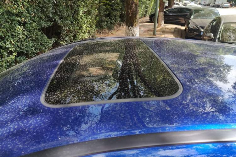 Used Acura CDX 2019 1.5T Two-Wheel Drive Deluxe Edition