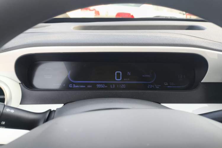 Used  Panda 2025 210 km – Yuanqi Bear