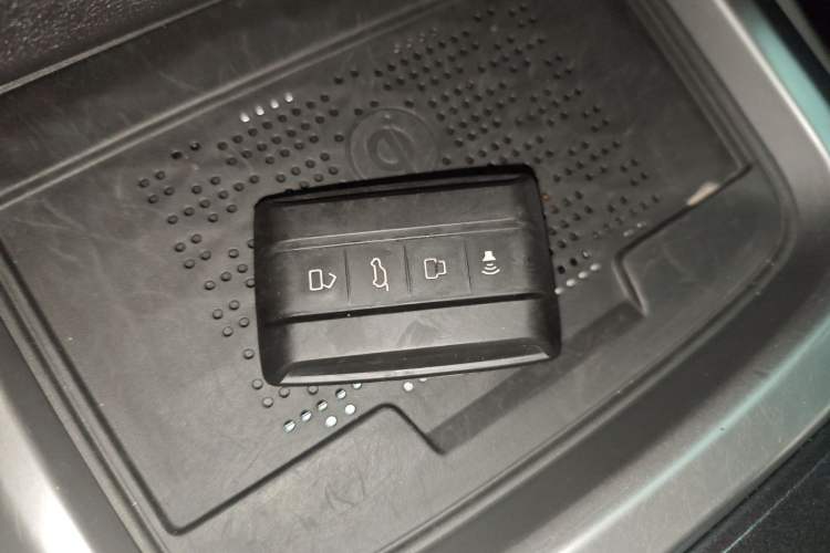 Used Tank 300 2024 2.0T Conqueror