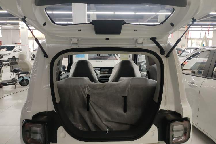 Used  Panda 2024 Panda Mini 200km Longteng PRO Edition
