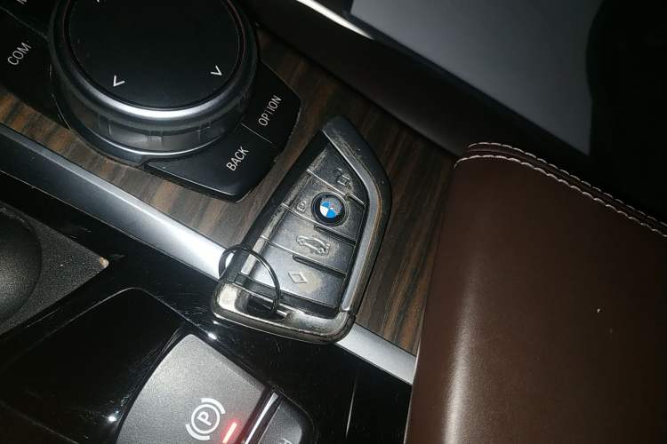 Used BMW 5 Series New Energy 2020 530Le Luxury Package
