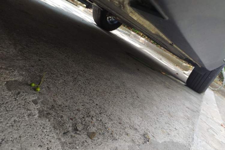 Used Kia KX3 2020 1.5L CVT Trend Edition
