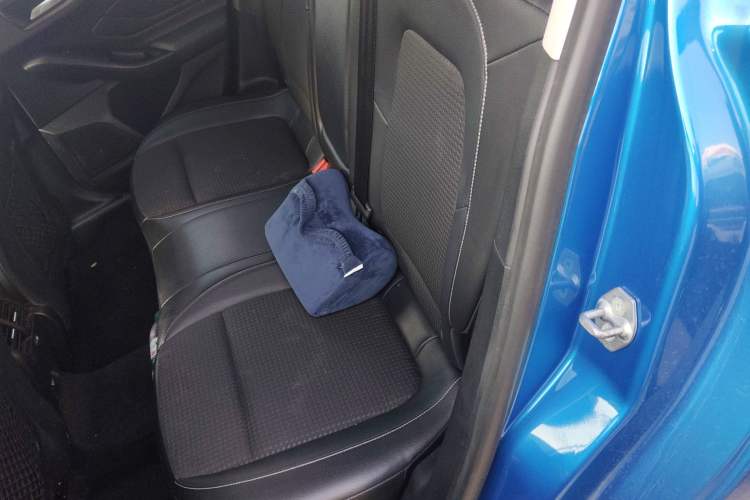 Used Ford Focus 2019 Hatchback EcoBoost 180 Automatic Trendy Model
