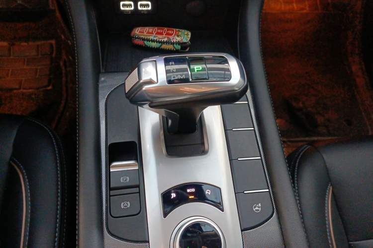 Used Great Wall Poer 2021 2.0T Global Version Passenger Automatic Diesel Two-Wheel Drive Comfort Trim Standard Cab GW4D20M