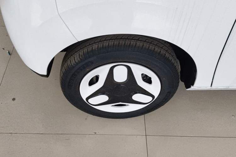 Used  Panda 2025 210 km – Yuanqi Bear
