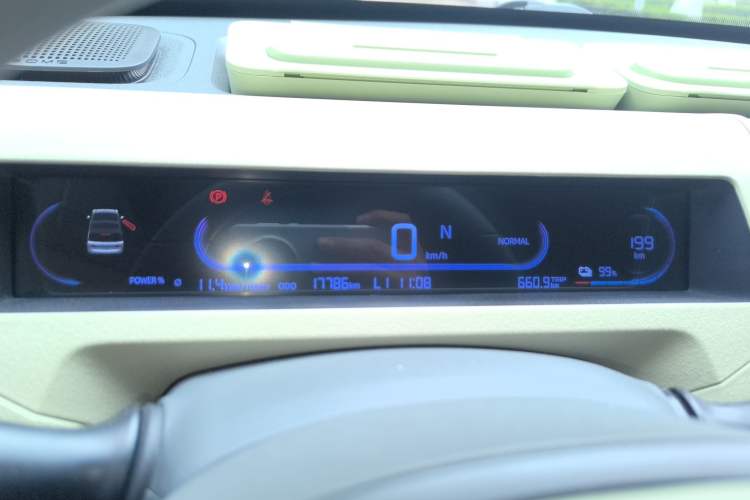 Used  Panda 2024 200km Panda Rider