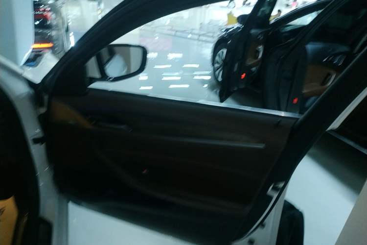 Used BMW 5 Series New Energy 2020 530Le Luxury Package
