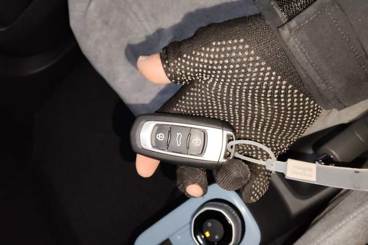 Used  Panda 2024 Panda Mini 200km Endurance Bear
