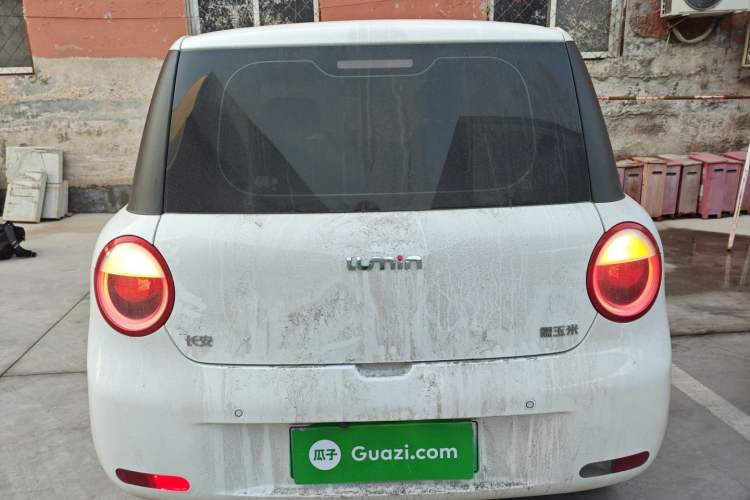 Used  Lumin 2023 205km Xiangqin Version
