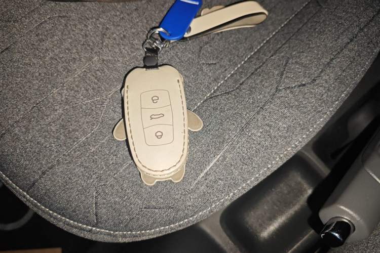 Used  Panda 2023 Panda Mini 200km Endurance Bear