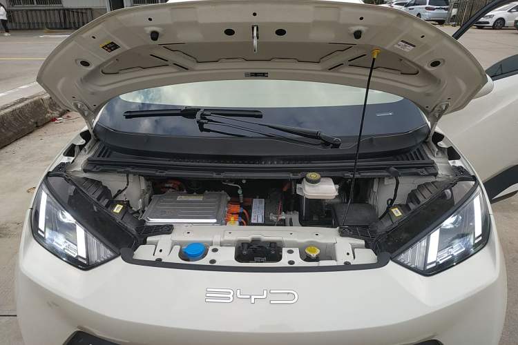 Used BYD Seagull 2023 Flying Edition
