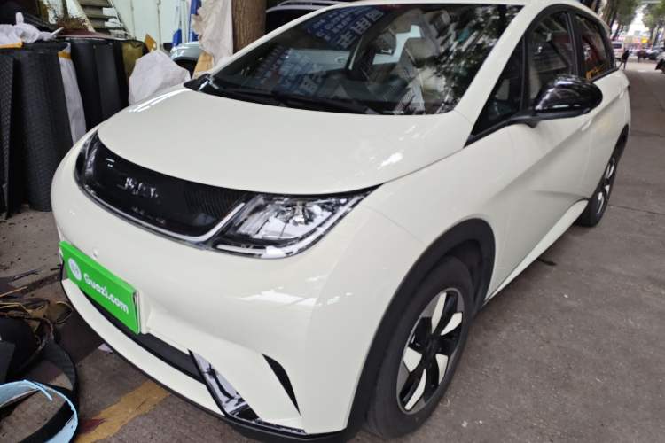 Used BYD Dolphin 2025 420km Free Edition