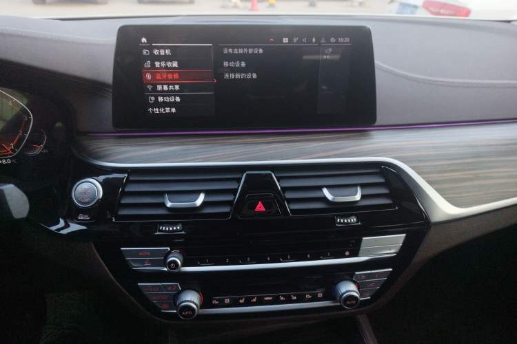 Used BMW 5 Series 2020 530Li Luxury Edition Premium Package