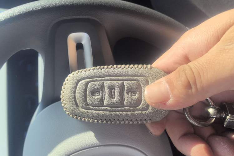 Used  Panda 2024 200km Panda Rider