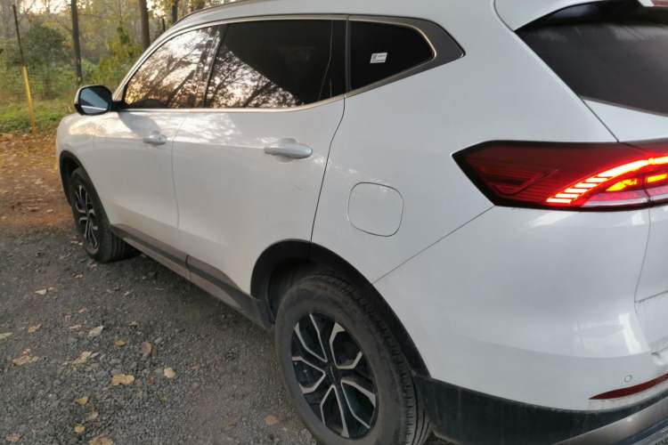 Used Haval H6 2023 National Trend Edition 1.5T Automatic Urban Version
