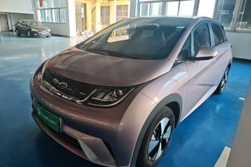 Used BYD Dolphin 2023 420 km Free Version