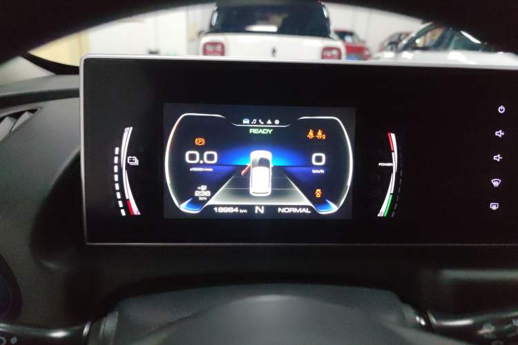 Used ORA White Cat 2020 305 km Luxury Version
