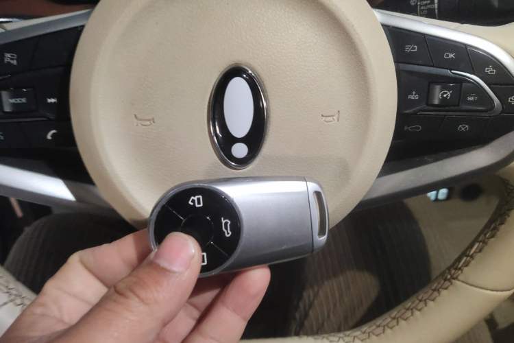 Used ORA Good Cat 2022 Morandi Edition 400km Standard Range Luxury Version Lithium-Ion Battery