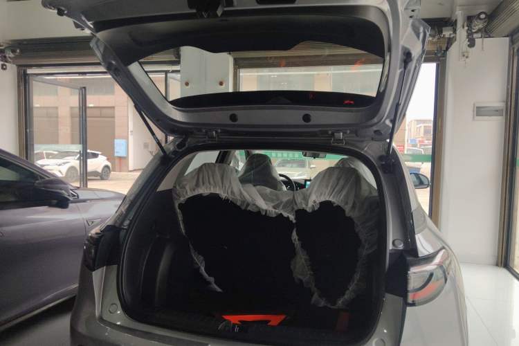 Used  Geome 2025 310km Youth Edition
