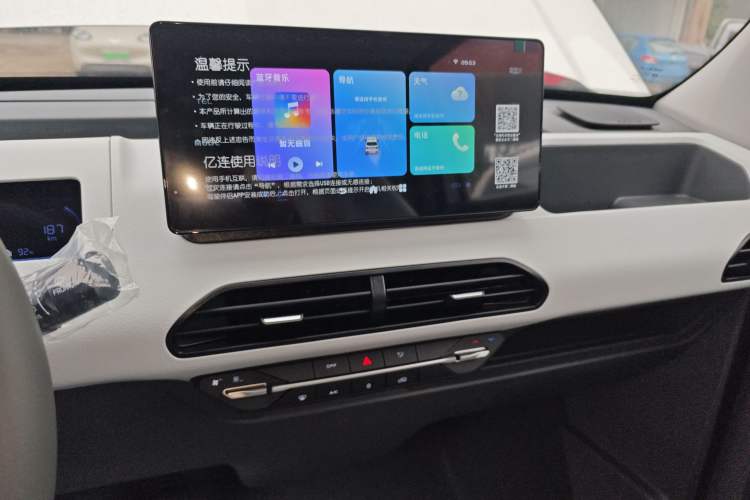 Used  Panda 2024 Panda Mini 200km Endurance Bear