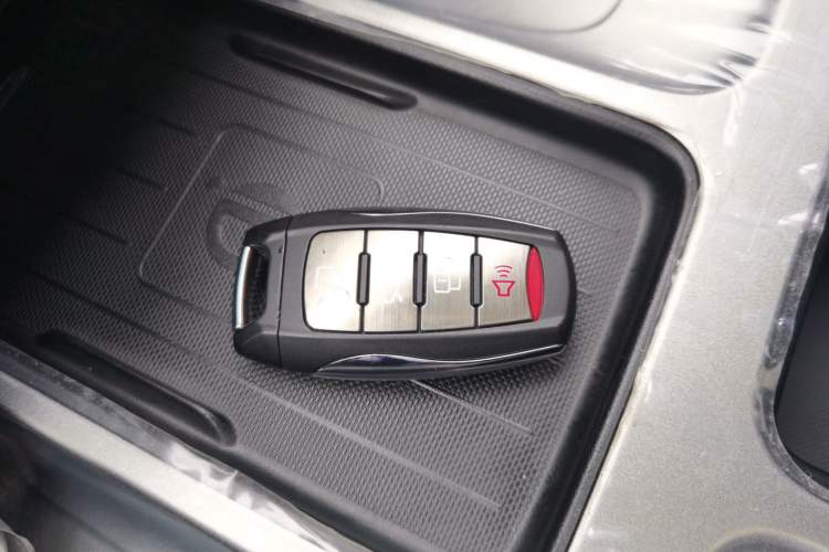 Used Haval DARGO 2024 2.0T DCT Chinese Rural Dog Edition
