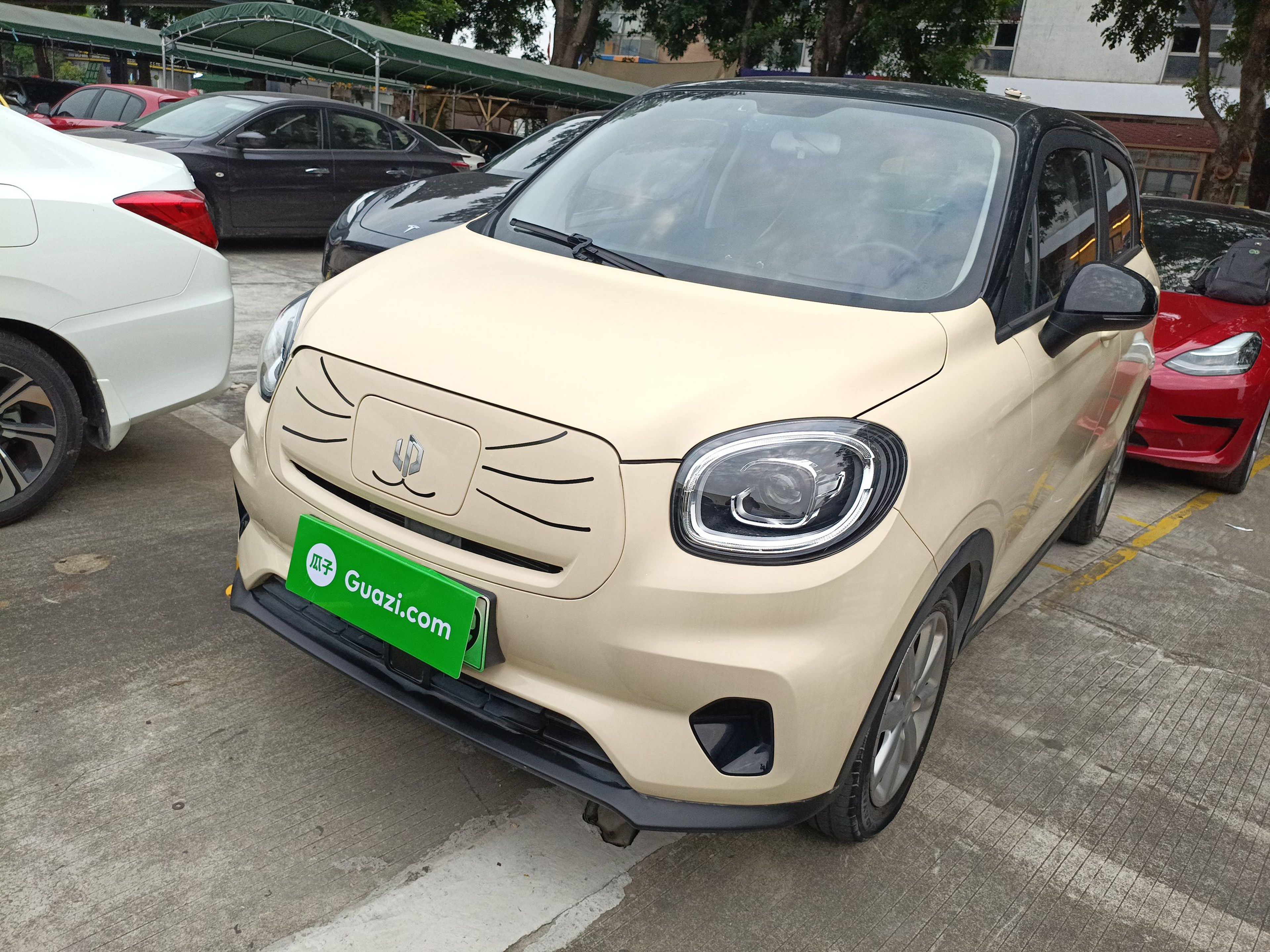 تحت مقدمة السيارة