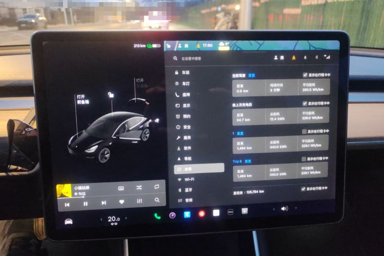 Used Tesla Model 3 (Import) 2019 Long-Range Rear-Wheel-Drive Version