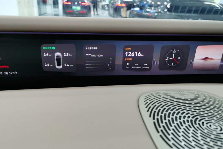 Used  07 2024 Max Extended-Range Edition