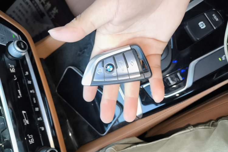 Used BMW 5 Series 2018 Revised Version 530Li Leading Edition Luxury Package
