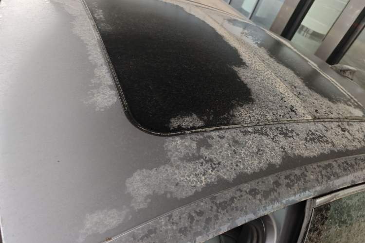 Used BYD Qin L 2025 DM-i Smart Drive 120KM Superior Model
