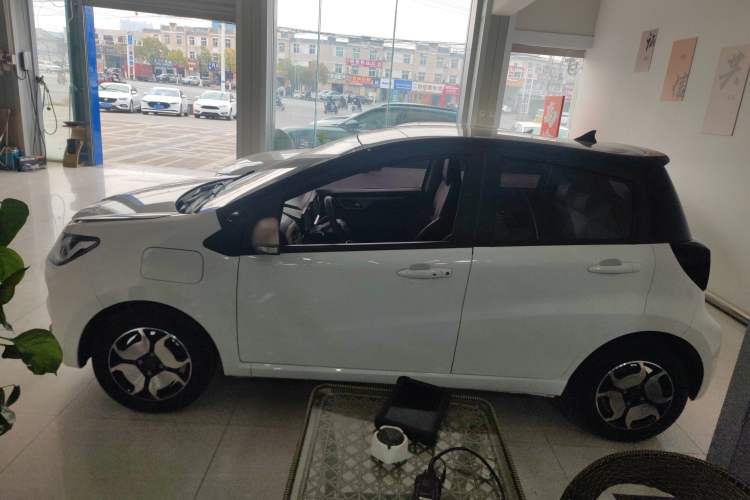 Used SOL E10X 2022 Flower Fairy Design Four-Leaf Clover