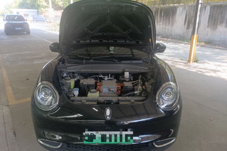 Used ORA Good Cat 2022 400km Standard Range Luxury Version Lithium Iron Phosphate