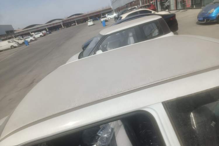 Used Qiyuan Lumin 2024 130km Qingyue Version
