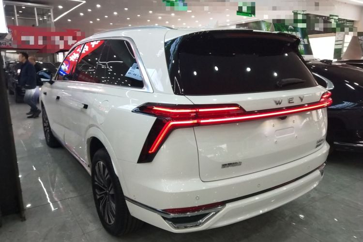 Used Wey Lanshan 2023 Four-Wheel Drive Ultra-Long Range Version