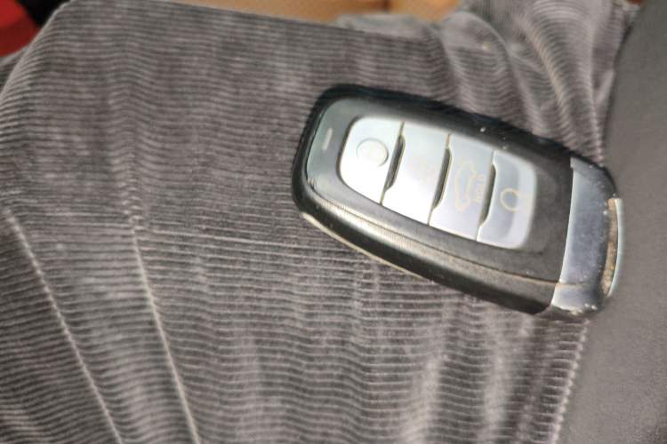 Used Hongqi H9 2022 2.0T Smart Connect Flagship Edition