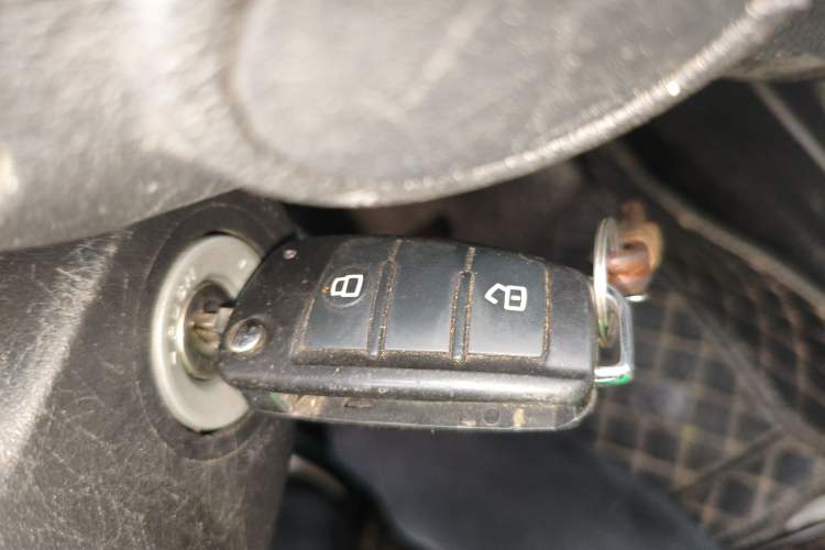 Used Isuzu JLM 2020 2.4T 4x4 Gasoline Leading-Edge GuoVI Ruimai S Standard Wheelbase 4K22D4T
